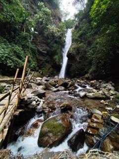 Cozy Mountain Homestay, Pet Friendly, Views - 6