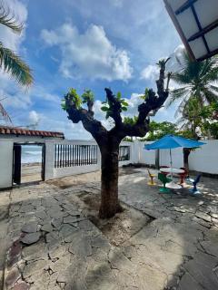 Veranda house beachfront - 3