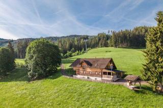 Scharlinger Alm in Alleinlage direkt am Hauser Kaibling - 7