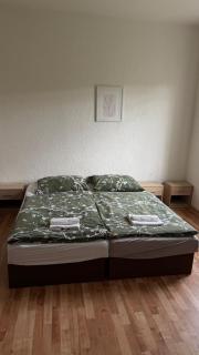 Apartmán v Karlových Varech pro 4 osoby - 5