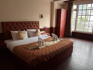 Rare Himalayas Prime, Gangtok - 4