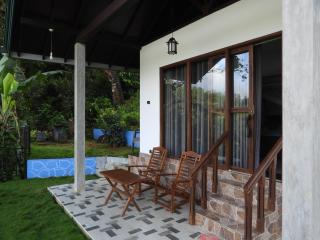 Rainforest Border Edge - 6