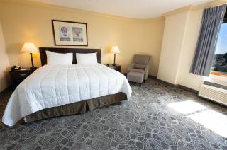 Meadowlands Plaza Hotel - 8