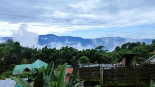 Bamboo Homestay - 5