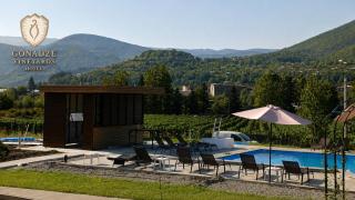 Gonadze Vineyards Hotel - 9