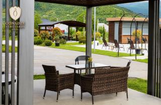Gonadze Vineyards Hotel - 3