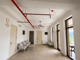 Gonadze Vineyards Hotel - 2