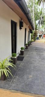 The coco grove - 8