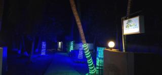 The coco grove - 7