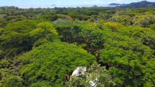Sukha Brasilito - 2