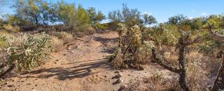 Rancho Vistoso 1BR Apartment with Resort Access - 8