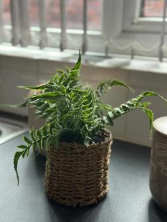 Lux Cottage - 7