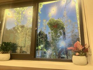 No86 Moss House Entire 2BR Home for Groups Hoan Kiem - 7