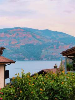 Traumhafte Ferienwohnung in Spiez mit Seeblick und Bergpanorama - 1