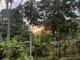 Finca Dorita - 5