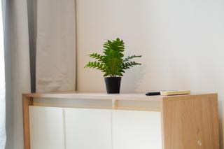 bnb loft xxxvi -pleno centro - 1