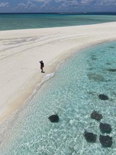 Beach House Maldives - 9