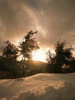 The High Oak Villa - 8