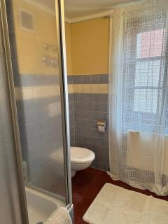 50qm Appartement Rosenheimer Innenstadt - 1