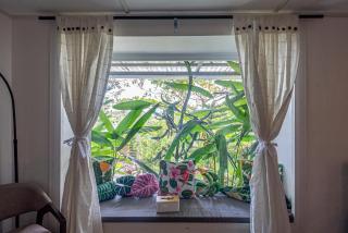 Sundaze Farm Villa by Zaia - 4