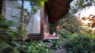 The OWL HOUSE - 1