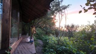The OWL HOUSE - 3
