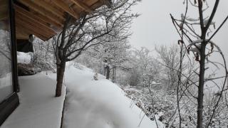 The OWL HOUSE - 4