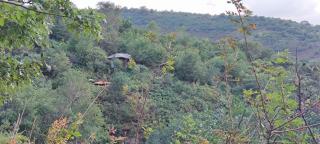 The OWL HOUSE - 5