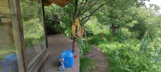 The OWL HOUSE - 6