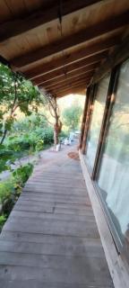 The OWL HOUSE - 8
