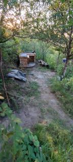 The OWL HOUSE - 9