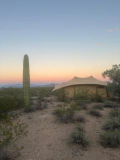 SaguaroGlamp - Marana - 8