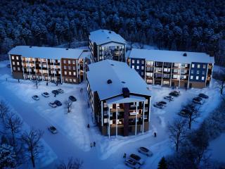 Santa's Aurora Suites by BookLapland - 1