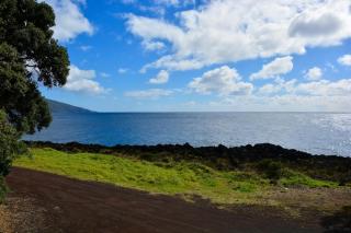 Casa da Antiga Vinha - Trees, Vineyards and Sea - 9