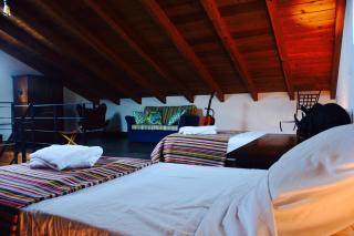 Casa da Antiga Vinha - Trees, Vineyards and Sea - 8
