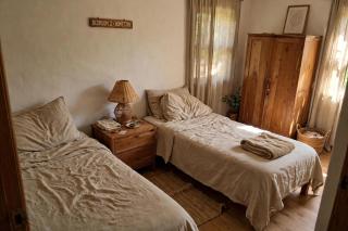 ular huy guest house - 1