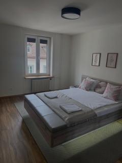 ZRH STAY- Helvetia platz - 4