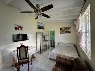 Bachelor by Orchard House - Gros Islet - 8