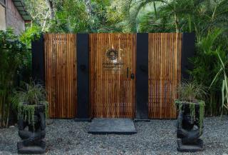Luxurious Beachfront Villa with Private Pool in Punta Uva - 1