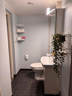 Rauhallinen keskustamajoitus palveluiden äärellä - 1