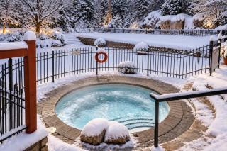 Tremblant Prestige - Les Eaux 201-5 - 4