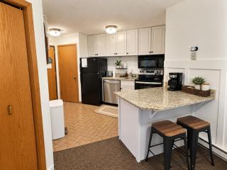 Aspen Cottage Ski In Ski Out 1BR at Lutsen Mtn - 3