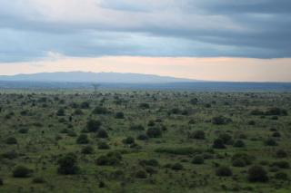 Executive Azure Skypark, 8 min to JKIA, Park View - 9
