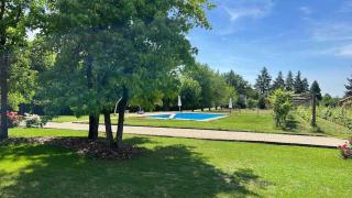 Villa with private vineyard & pool, Monferrato - 3