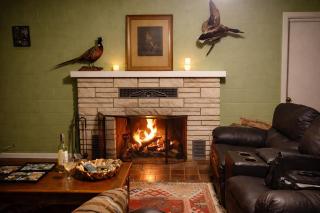 Spacious Family Retreat with Cozy Fireplace and Lakefront - 8