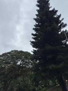 Casa Las Nubes, El Crucero Managua - 3