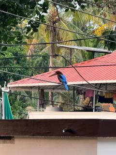 Navami Holidays Resort - 5