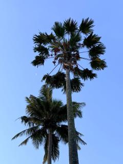 Navami Holidays Resort - 4