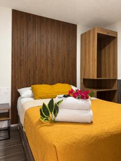 Ventura Suite Campo Teapa - 6