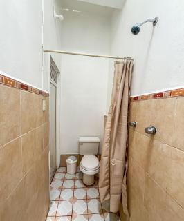 xochimilco Centro - one bedroom apartment - 2